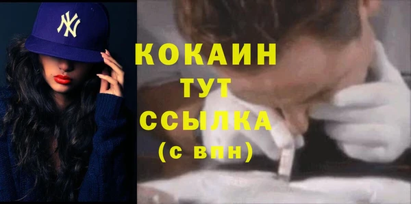 дживик Кукмор