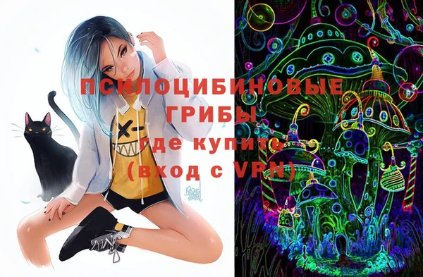стаф Кулебаки