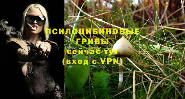 гидропоника Куйбышев