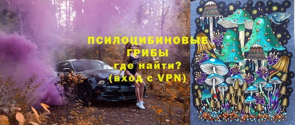 дживик Кукмор