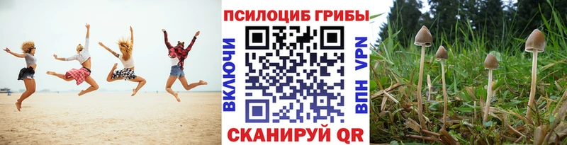 Галлюциногенные грибы мухоморы  Куровское 