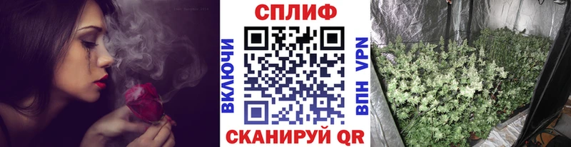 Каннабис SATIVA & INDICA Куровское